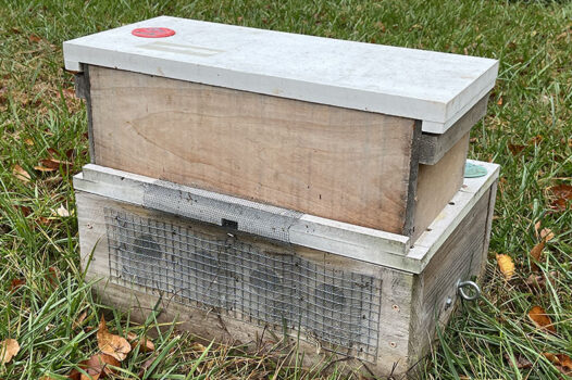 Five frame nuc for sale at Sustainable Honeybee Program