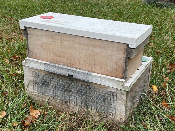 Five frame nuc for sale at Sustainable Honeybee Program