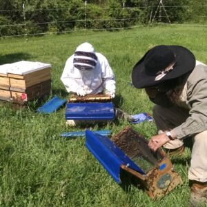 Beekeeper for a Day