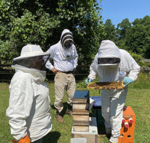 Beekeepers volunteering at Sustainable Honeybee Program