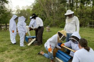 Fairfax Beekeeping Class Field Day at SHP 2023