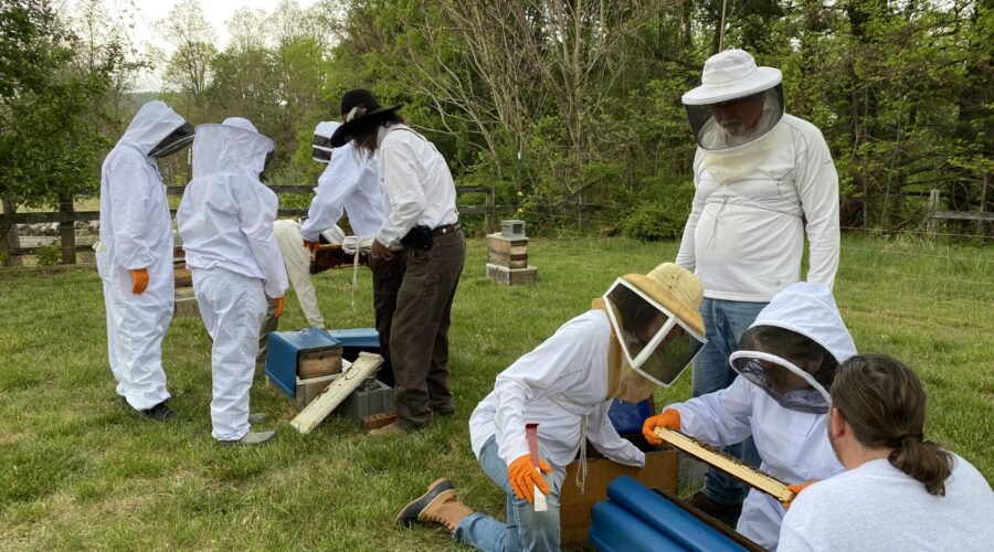 Fairfax Beekeeping Class Field Day at SHP 2023