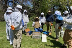 2024 Fairfax Beekeeping Class Field Day
