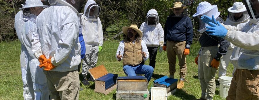 2024 Fairfax Beekeeping Class Field Day