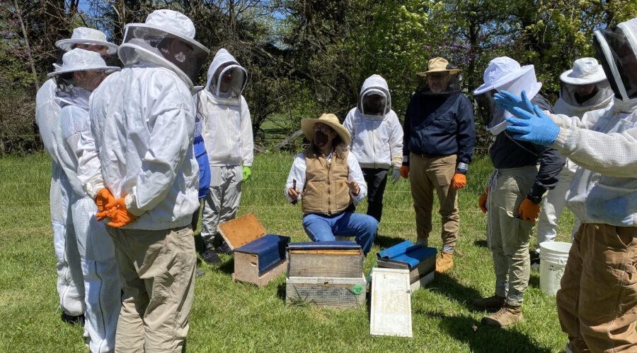 2024 Fairfax Beekeeping Class Field Day